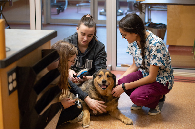 Three students with dog